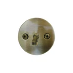 Lasco-simpatico 31593A Antique Brass Bath Tub With Round Trip Lever Face Plate. Fixed Price $22.44.