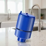 Dual Pack Pur Water Filter RF-9999 Activates Superior Taste & Odor Control. Fixed Price $23.04.