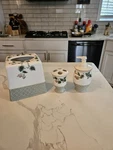 Jcpenney Ivy & Roses Ceramic Bathroom Set Tissue Cover, Soap Dispenser, Toothbr. Fixed Price $30.00.