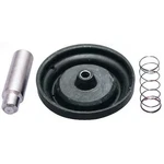 Bradley S65-113 Solenoid Valve Repair Kit. Fixed Price $43.79.