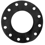 Grainger Approved Flange Gasket,full FACE,8" Pipe 55ZA16. Fixed Price $47.14.
