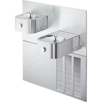 Elkay LNTED8C 2-STATION Hi/lo Ftn Trim Only For LNTEM8K 211226439. Fixed Price $911.99.